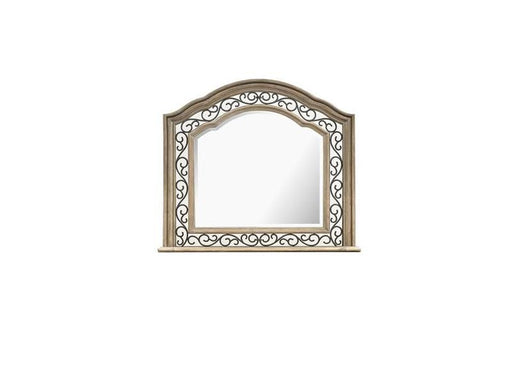 Magnussen Furniture Marisol Shaped Mirror in Fawn/Graphite image